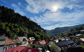Dream House Brasov